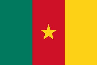 flag Cameroon
